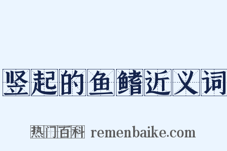 竖起的鱼鳍近义词是什么意思的图片